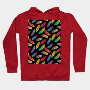 Multi Color Feathers Pattern Hoodie